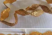 صدى الساحل اخبار اليمن الان ووادي العين زوجين متهمين مجوهرات اخبار اليمن الان الحدث اليوم عاجل صدى الساحل