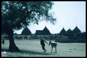 اخبار اليمن الان الحدث اليوم عاجل كريتر إسكاي