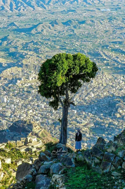 اخبار اليمن الان خالد الرويشان صنعاء رسالة لطارق اخبار اليمن الان الحدث اليوم عاجل