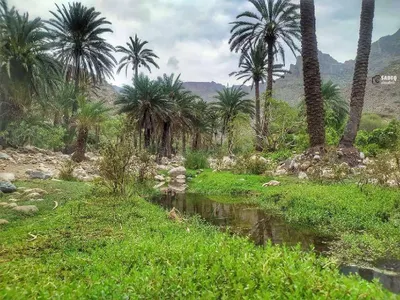 اخبار اليمن الان ومتع نظرك الطبيعة الساحرة مناطق اخبار اليمن الان الحدث اليوم عاجل
