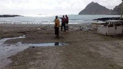 اخبار اليمن الان يحدث واسعة لتنظيف الأسماك البريقة اخبار اليمن الان الحدث اليوم عاجل