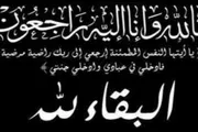 حياه عدن الإخباري اخبار اليمن الان الهمداني الصحة العامة والسكان بوفاة اخبار اليمن الان الحدث اليوم عاجل حياه عدن الإخباري