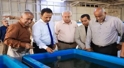اخبار اليمن الان الوكيل الأحياء المائية والاستزراع السمكي اخبار اليمن الان الحدث اليوم عاجل