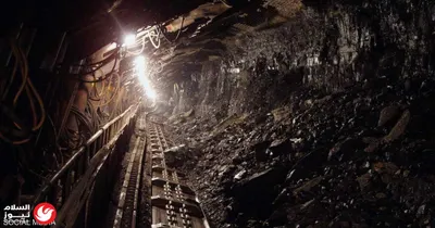 اخبار اليمن الان بروتوكولات المسافرين الحاصلين استثنائي القادمين اخبار اليمن الان الحدث اليوم عاجل