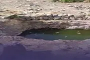 اخبار اليمن الان الحدث اليوم عاجل أحداث العالم