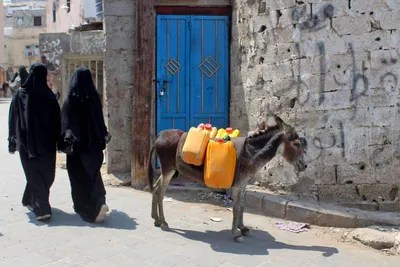 اخبار اليمن الان الحدث اليوم عاجل 