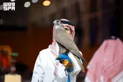 عاجل السعودية اخبار اليمن الان صقرين انطلاقة الصقور المنغولية بالرياض اخبار اليمن الان الحدث اليوم عاجل عاجل السعودية
