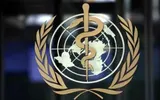 عدن تايم اخبار اليمن الان الصحة العالمي رعاية لبداية سليمة اخبار اليمن الان الحدث اليوم عاجل عدن تايم