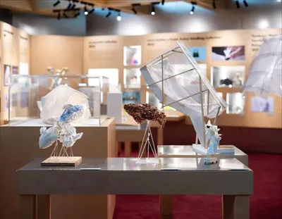 اخبار اليمن الان إبداع vuitton المعرض الدولي للفنون اخبار اليمن الان الحدث اليوم عاجل