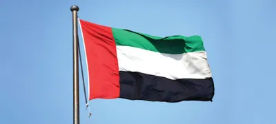 اخبار اليمن الان الإمارات استخدام التواصل الاجتماعي للأطفال اخبار اليمن الان الحدث اليوم عاجل