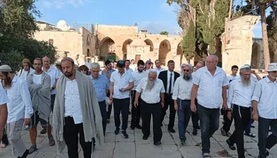 اخبار اليمن الان المستوطنين يدنسون الأقصى العرش اليهودي اخبار اليمن الان الحدث اليوم عاجل