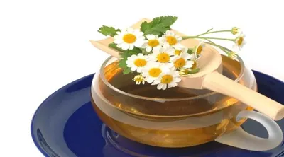 اخبار اليمن الان تعرف مشروبات تساعد تحسين النوم اخبار اليمن الان الحدث اليوم عاجل