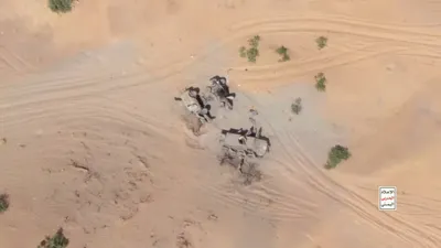 اخبار اليمن الان الحدث اليوم عاجل 