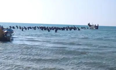 اخبار اليمن الان صيادا الخوخة الاحتجاز والمعاناة إريتريا اخبار اليمن الان الحدث اليوم عاجل