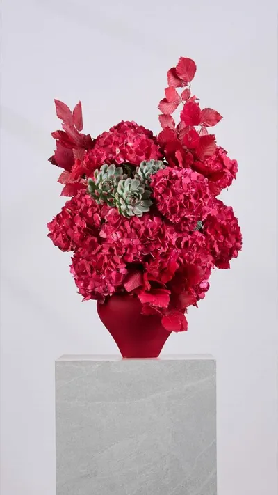 اخبار اليمن الان flower society تستقبل الخريف مستوحاة اخبار اليمن الان الحدث اليوم عاجل