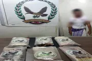 اخبار اليمن الان الحدث اليوم عاجل صدى الساحل