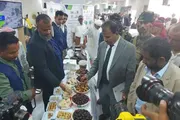 عدن تايم اخبار اليمن الان افتتاح المعرض والخيمة التسويقية والتراثية اخبار اليمن الان الحدث اليوم عاجل عدن تايم