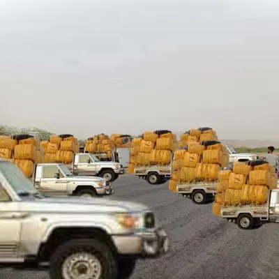 اخبار اليمن الان سيارات القات المكلا والخسائر بالمليارات اخبار اليمن الان الحدث اليوم عاجل