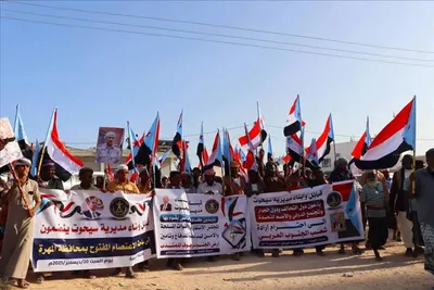 اخبار اليمن الان المهرة اعتصام الغيضة المفتوح جماهيرية اخبار اليمن الان الحدث اليوم عاجل