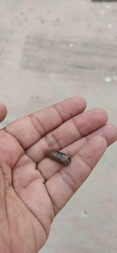 اخبار اليمن الان استمرار الظاهرة يهدد حياة السكان اخبار اليمن الان الحدث اليوم عاجل