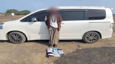 اخبار اليمن الان أبين الساحل بحيازة الحشيش بشقرة اخبار اليمن الان الحدث اليوم عاجل