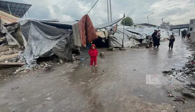 اخبار اليمن الان البرد القارس بحياة رضيعة فلسطينية اخبار اليمن الان الحدث اليوم عاجل