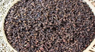 اخبار اليمن الان القرنفل يعزز مستويات السكر الدم اخبار اليمن الان الحدث اليوم عاجل