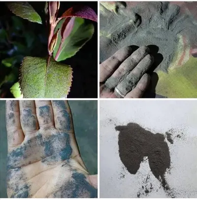 اخبار اليمن الان تحذيرات أرصادية بركاني إثيوبيا تأثيره اخبار اليمن الان الحدث اليوم عاجل