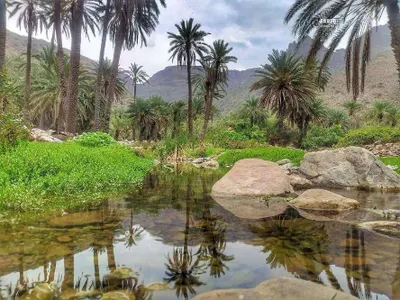 اخبار اليمن الان ومتع نظرك الطبيعة الساحرة مناطق اخبار اليمن الان الحدث اليوم عاجل