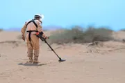 اخبار اليمن الان الحدث اليوم عاجل صدى الساحل