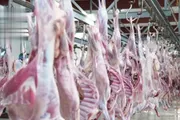 صحيفة الثورة صنعاء اخبار اليمن الان تدشين مشروع أضاحي العاصمة محافظات اخبار اليمن الان الحدث اليوم عاجل صحيفة الثورة صنعاء