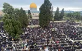 اخبار اليمن الان الحدث اليوم عاجل صحيفة الثورة صنعاء
