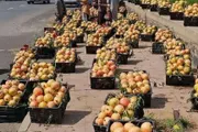 اخبار اليمن الان الحدث اليوم عاجل كريتر إسكاي