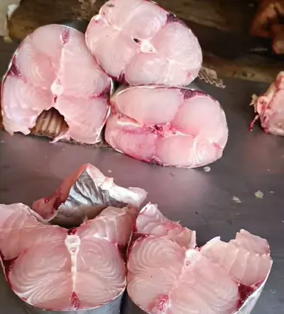 اخبار اليمن الان صياد عدني النوع السمك البياض اخبار اليمن الان الحدث اليوم عاجل