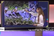 فرانس 24 اخبار اليمن الان حادثة فيرفورد الصورة المتداولة المشتبه اخبار اليمن الان الحدث اليوم عاجل فرانس 24