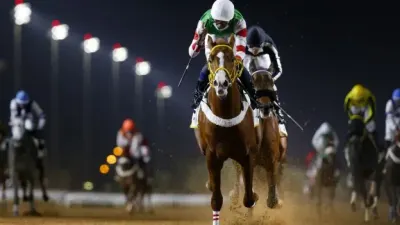 اخبار اليمن الان الطائف تحتضن منافسات الأسبوع سباقات اخبار اليمن الان الحدث اليوم عاجل