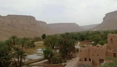 اخبار اليمن الان أبناء حضرموت يطالبون بالكشف مصير اخبار اليمن الان الحدث اليوم عاجل