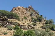 حياه عدن الإخباري اخبار اليمن الان الجنوبية الصبيحة سيطرتها البازلة الاستراتيجي اخبار اليمن الان الحدث اليوم عاجل حياه عدن الإخباري