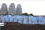 اخبار اليمن الان الحدث اليوم عاجل فرانس 24