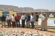 صحيفة المرصد اخبار اليمن الان حضرموت الإنجاز منظومة الطاقة الشمسية اخبار اليمن الان الحدث اليوم عاجل صحيفة المرصد