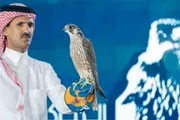 عاجل السعودية اخبار اليمن الان الدبدبة بـ106 المركز الوطني للصقور اخبار اليمن الان الحدث اليوم عاجل عاجل السعودية