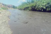 اخبار اليمن الان الحدث اليوم عاجل عدن تايم