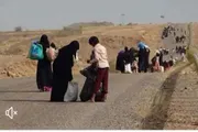 صدى الحقيقة اخبار اليمن الان طوارئ التدخل العاجل لإنقاذ الصبيحة اخبار اليمن الان الحدث اليوم عاجل صدى الحقيقة
