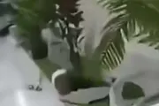 كريتر إسكاي اخبار اليمن الان عادل الحسني فضيحة جديدة الليلة اخبار اليمن الان الحدث اليوم عاجل كريتر إسكاي