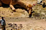 اخبار اليمن الان الحدث اليوم عاجل كريتر إسكاي