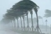 اخبار اليمن الان الحدث اليوم عاجل صدى الساحل