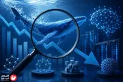 السلام نيوز اخبار اليمن الان منافسة النماذج اللغوية الأسعار deepseek اخبار اليمن الان الحدث اليوم عاجل السلام نيوز