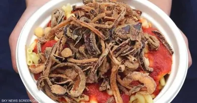 اخبار اليمن الان الكشري رادار اليونسكو لماذا تسجيله اخبار اليمن الان الحدث اليوم عاجل