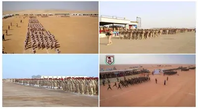 اخبار اليمن الان تقرير القوات الجنوبية جاهزية وانضباط اخبار اليمن الان الحدث اليوم عاجل