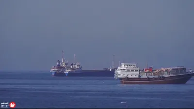 اخبار اليمن الان إنساني يخاطر بحياته لإنقاذ حيوانات اخبار اليمن الان الحدث اليوم عاجل